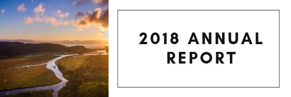 2018 Annual Report Banner.jpg