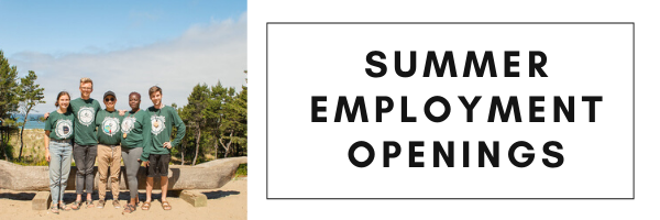 Summer Employment.png