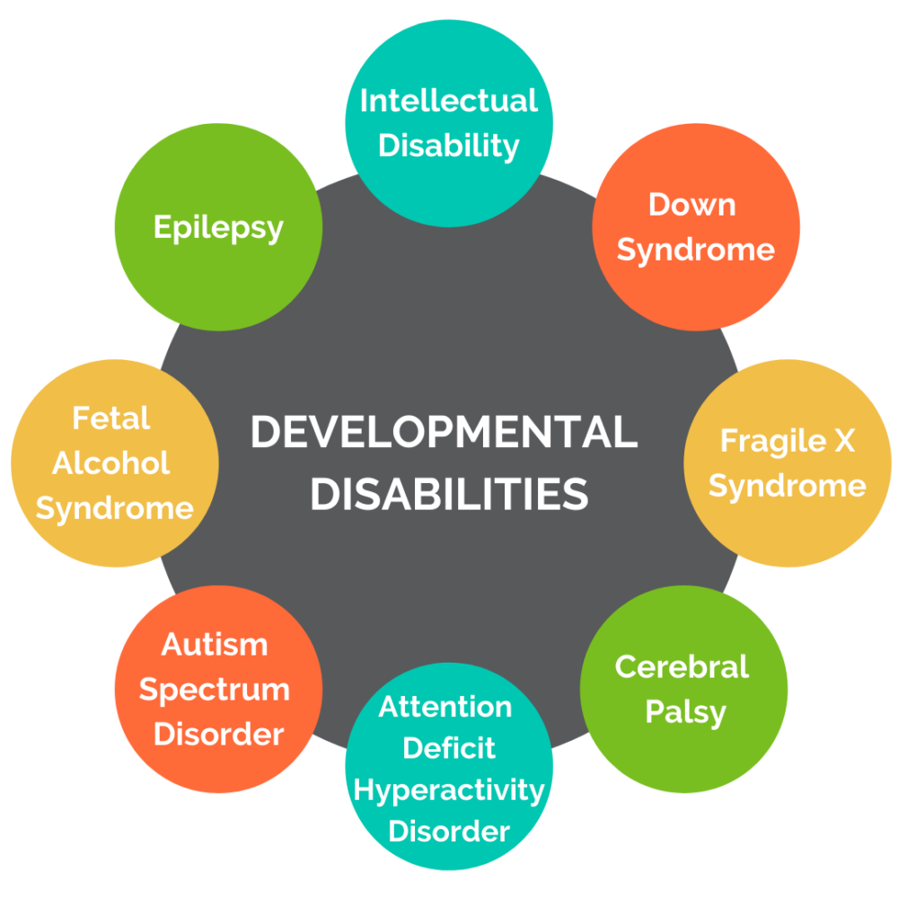 Developmental-Disabilities-Infographic-1000x1000.png